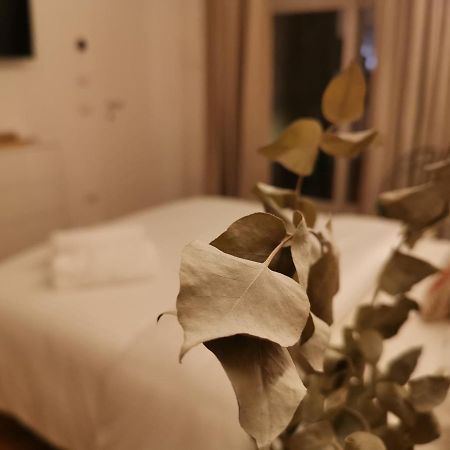 卡萨诺德莱穆尔杰Aracoeli 20住宿加早餐旅馆 外观 照片